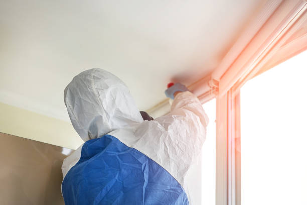 Best Mold Damage Restoration  in Jones Valley, CA